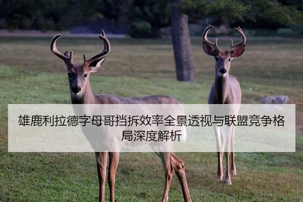 雄鹿利拉德字母哥挡拆效率全景透视与联盟竞争格局深度解析